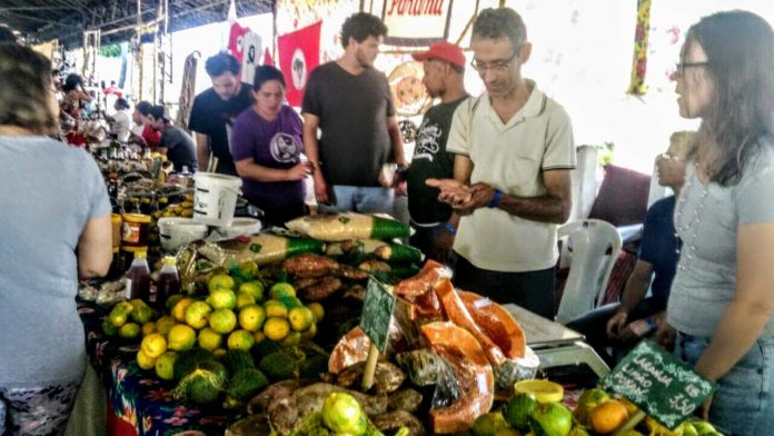 Empreendimentos solidários do Paraná presentes na 3ª Feira da Reforma Agrária