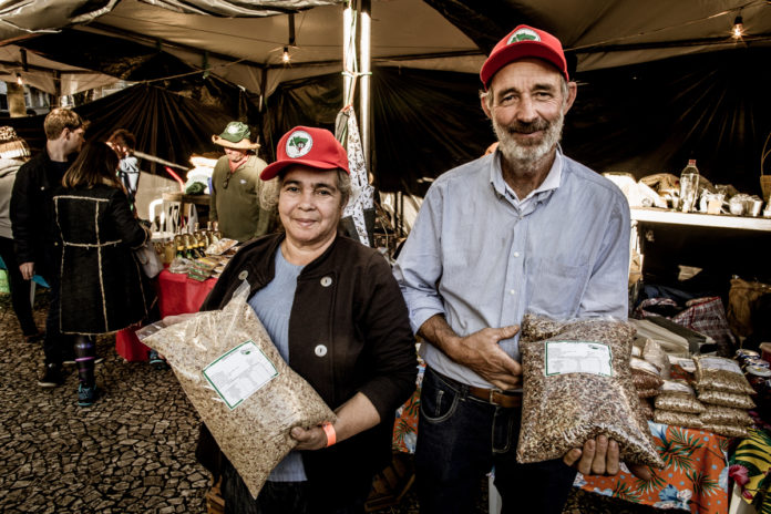 “Estamos compartilhando um novo modelo de sociedade”, diz pioneiro do cultivo de arroz orgânico no PR