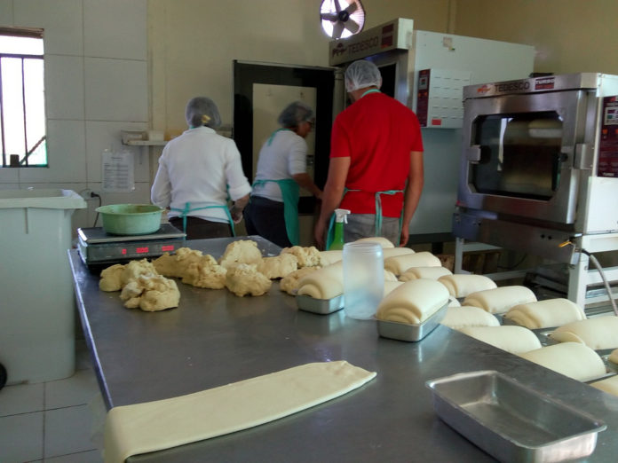 Cooperativa do MST entrega mais de 90 toneladas de alimentos em escolas no Oeste do Paraná