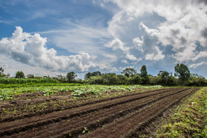 Mais terras públicas para o mercado, menos áreas coletivas